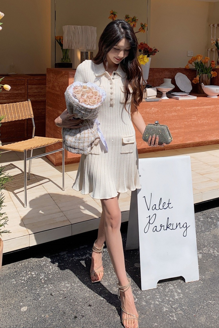 Rosa | Chic Mini Dress