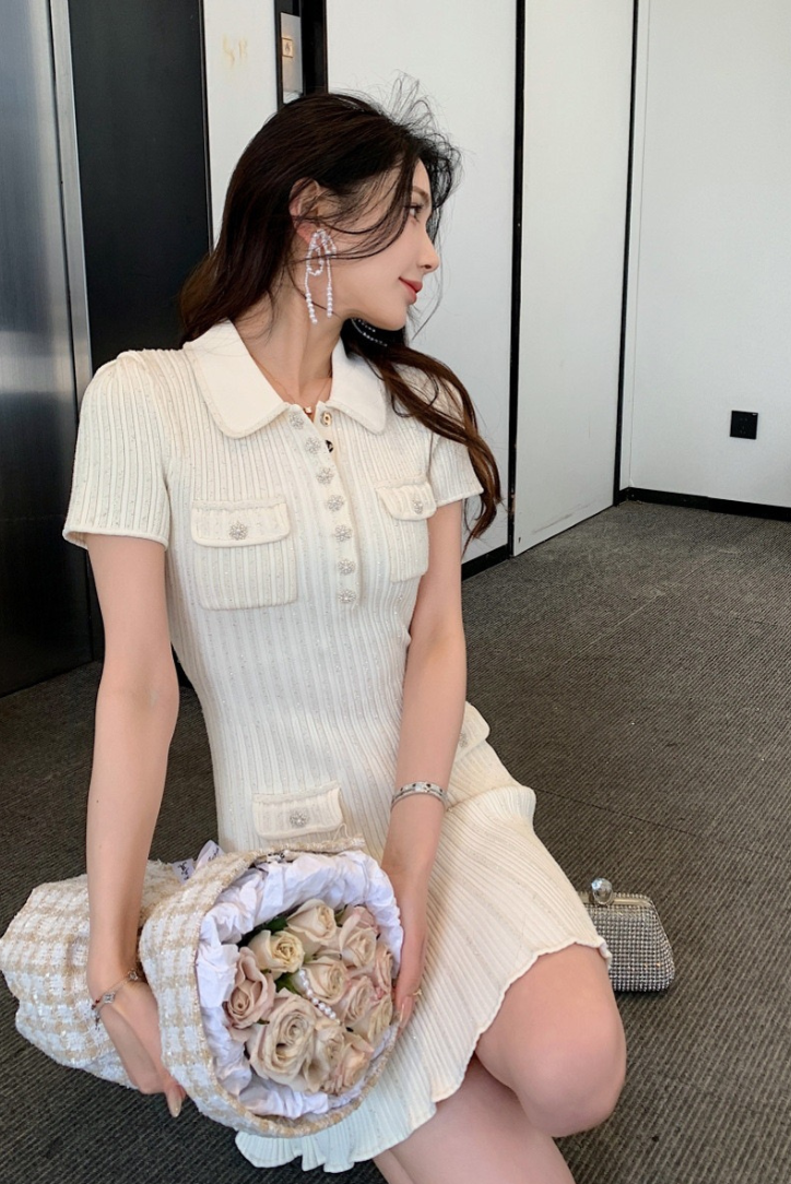 Rosa | Chic Mini Dress
